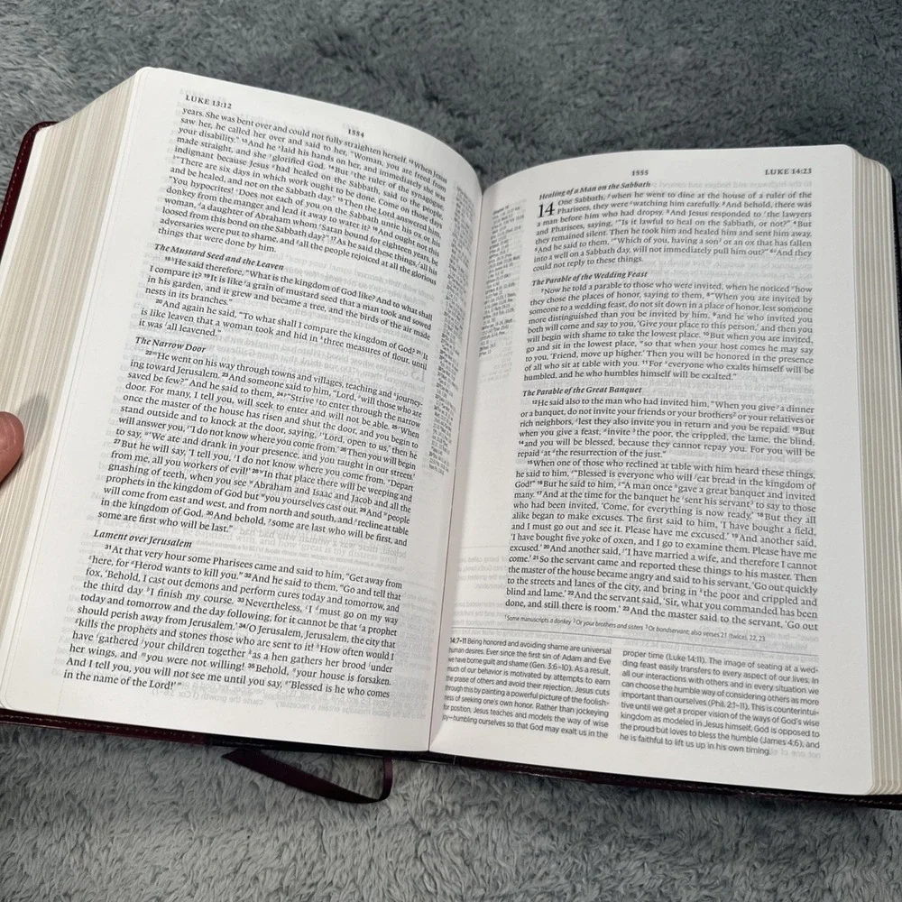 ESV Gospel Transformation Study Bible Red Leather Crossway 2018 Book Very Good